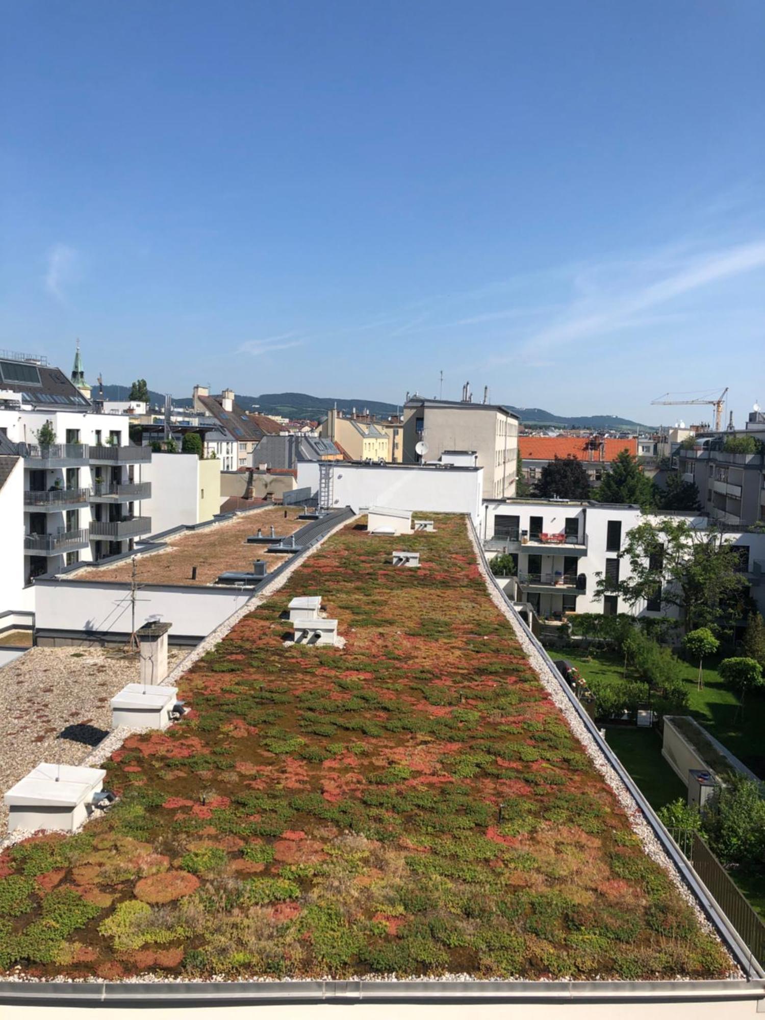 Vienna Sunny Side Up Apartments Esterno foto